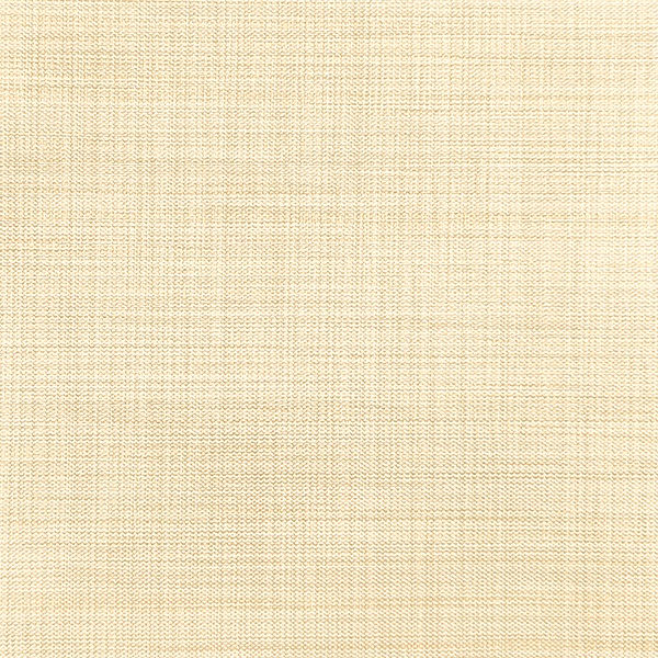 Ткань для рулонных штор в коробе Benone 7858 - изображение 1 - заказать онлайн в салоне штор Benone в Кубинке